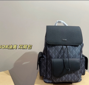 79ab8de2b2bf79a6cb84f3e161c4d535 dior 2