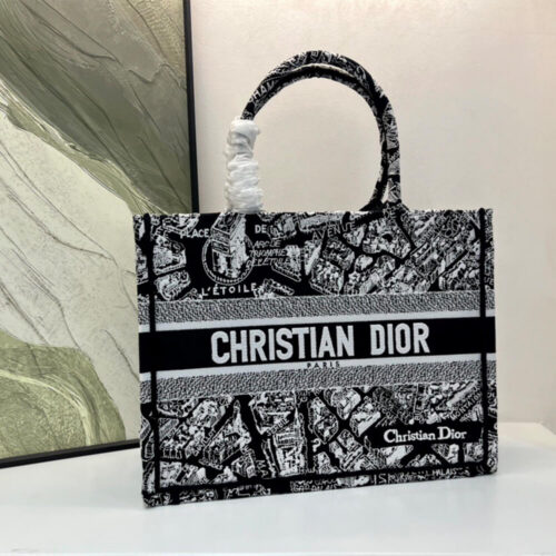 2-27 DIOR Medium Book Tote