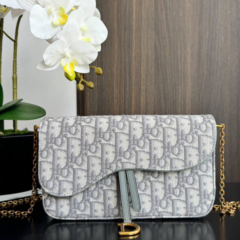 Dior Medium Saddle Pouch with Chain