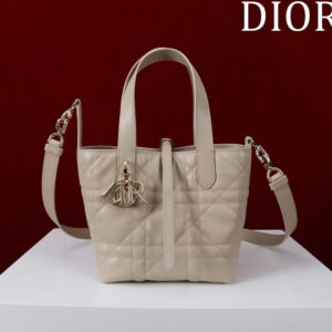 Small Dior Toujours Vertical Tote Bag