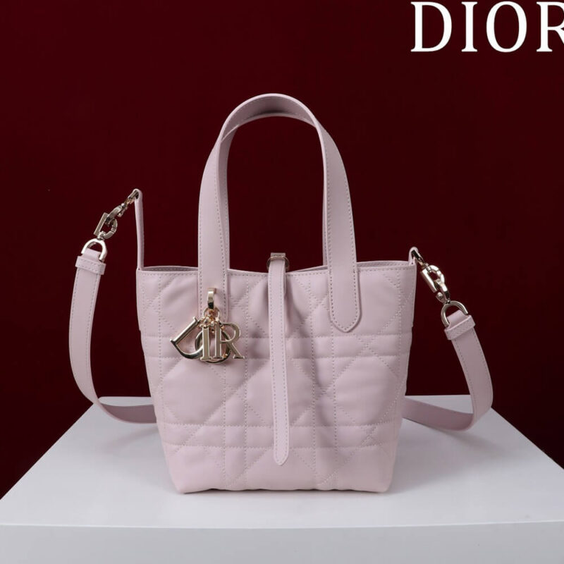 Small Dior Toujours Vertical Tote Bag