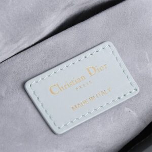 Dior Medium Blue Lady D-Joy Bag(