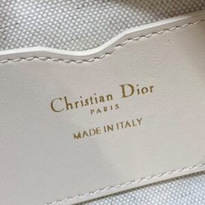 Dior 30 Montaigne Cigale mini bag