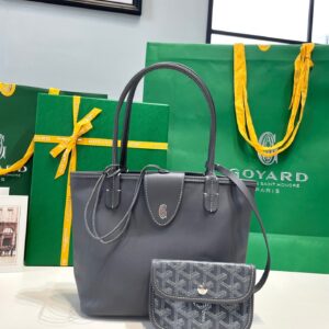 Goyard Anjou Mini in Gray