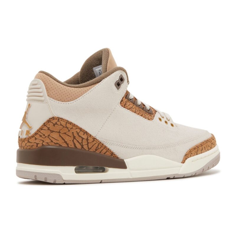 Air-Jordan-3-Retro-‘Palomino-CT8532-102-3 Jordan 3 Retro
