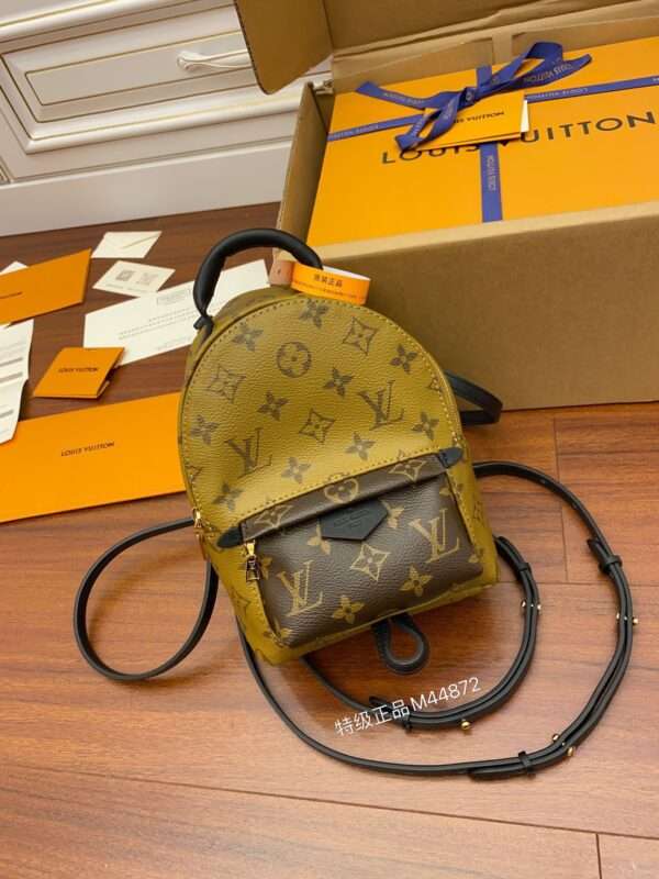 Louis Vuitton LV Palm Springs Mini Monogram Backpack 17x22cm