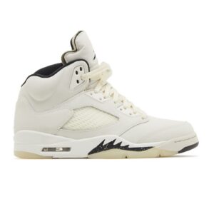 Jordan 5 Retro SE