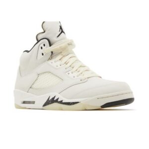 Jordan 5 Retro SE