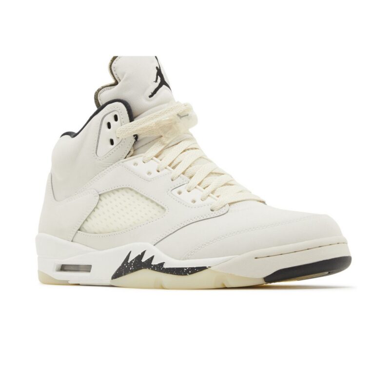 Jordan 5 Retro SE