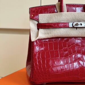 Hermes Birkin 25 Red Genuine Crocodile Leather Palladium Hardware