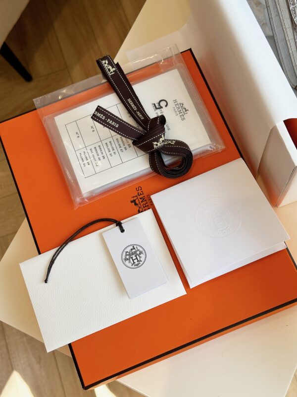 Hermes Constance 19 Omber Genuine Lizard Leather  Palladium Hardware