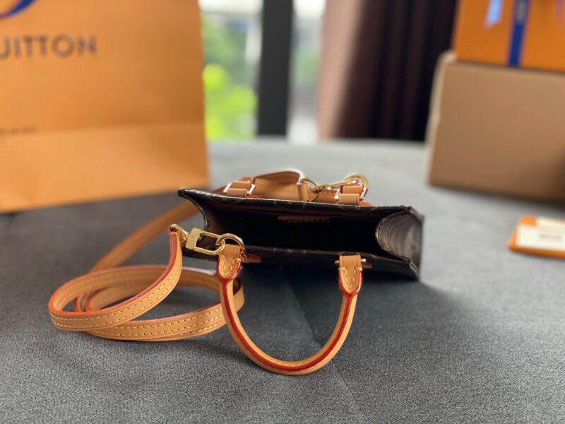 Louis Vuitton LV Petit Sacplat Woman’s Handbags 17x14cm