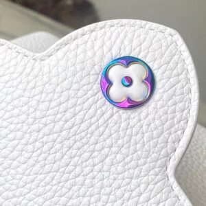 Louis Vuitton LV Capucines Lock Rainbow Handbags 21cm