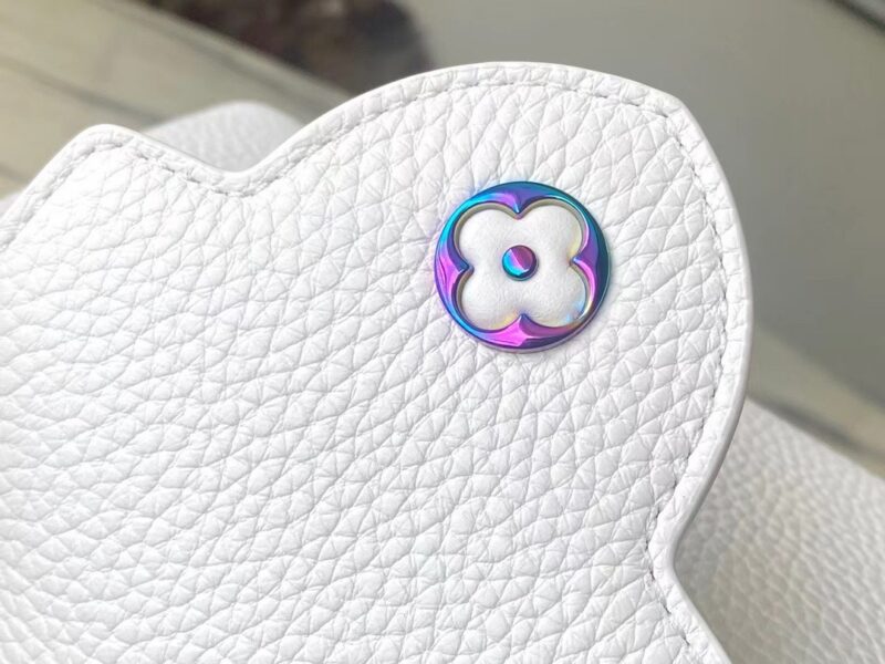 Louis Vuitton LV Capucines Lock Rainbow Handbags 21cm