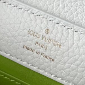 Louis Vuitton LV Capucines Green And White Pattern Handbags 21cm