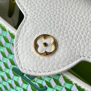 Louis Vuitton LV Capucines Green And White Pattern Handbags 21cm