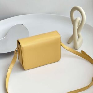 Celine Mini Handbag Orange Yellow Super Quality Smooth Leather 19cm