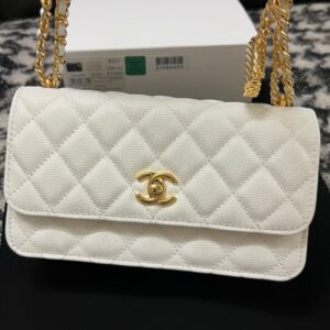 Chanel Woc Charm Handbags White Lizard Skin With Lock Pattern Bag 20cm