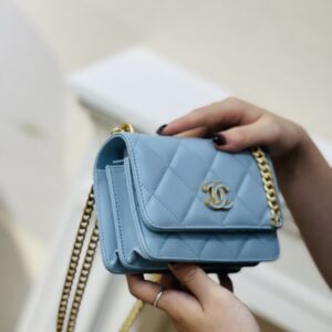 Chanel Woc Mini 11 Handbag Woman’s Blue Smooth Leather 15cm