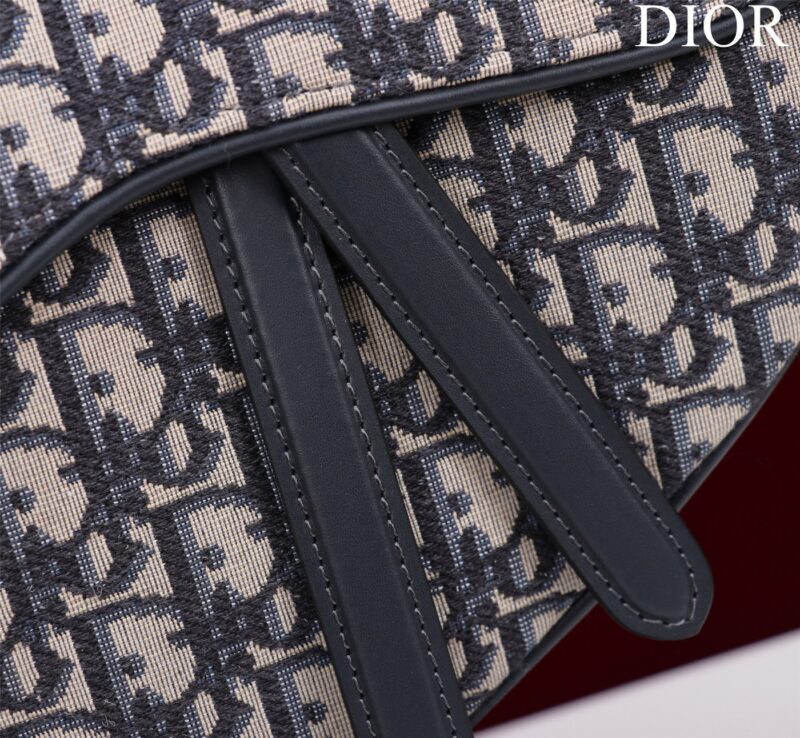 Dior Saddle Saddle Canvas Handbag Super Quality Hand Embroidered 25.5x20x6cm