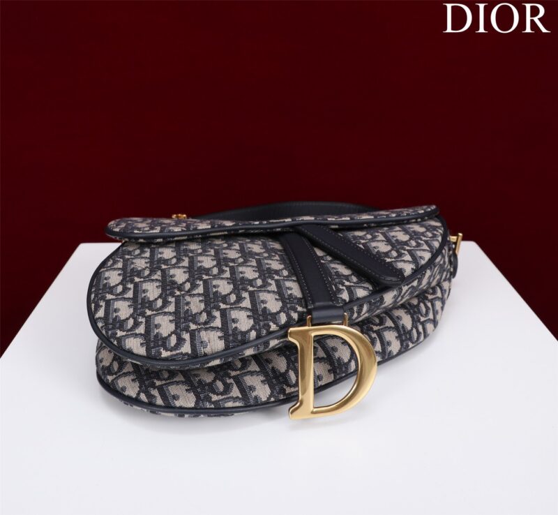 Dior Saddle Saddle Canvas Handbag Super Quality Hand Embroidered 25.5x20x6cm