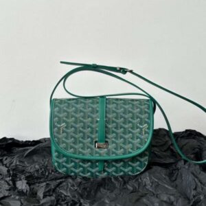 Goyard Super Green Handbag With Pattern 22x16x7cm