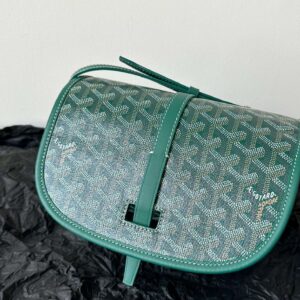 Goyard Super Green Handbag With Pattern 22x16x7cm