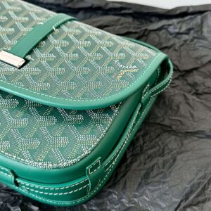 Goyard Super Green Handbag With Pattern 22x16x7cm