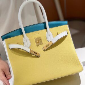 Hermès Lime, Bleu de Galice and Gris Perle Chèvre Tri-Color HSS Birkin 25 Brushed Gold Hardware