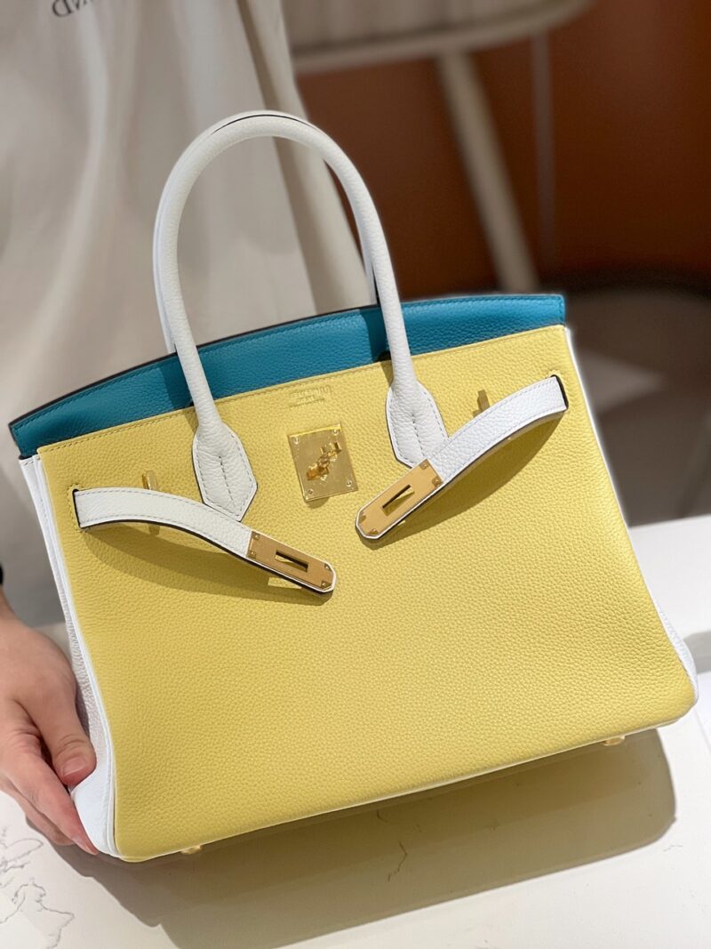 Hermès Lime, Bleu de Galice and Gris Perle Chèvre Tri-Color HSS Birkin 25 Brushed Gold Hardware
