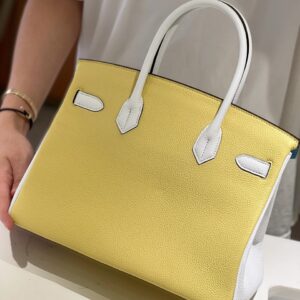 Hermès Lime, Bleu de Galice and Gris Perle Chèvre Tri-Color HSS Birkin 25 Brushed Gold Hardware