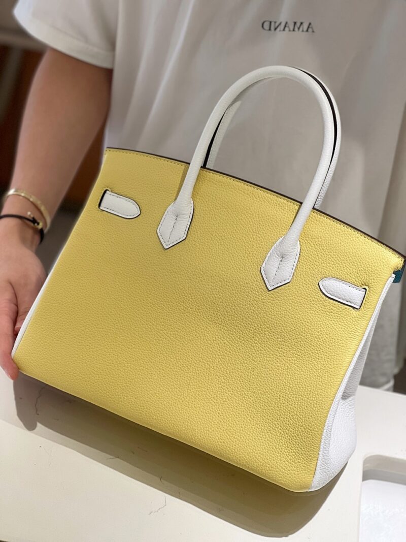 Hermès Lime, Bleu de Galice and Gris Perle Chèvre Tri-Color HSS Birkin 25 Brushed Gold Hardware