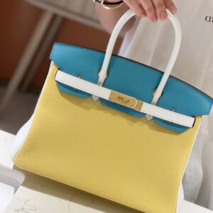 Hermès Lime, Bleu de Galice and Gris Perle Chèvre Tri-Color HSS Birkin 25 Brushed Gold Hardware
