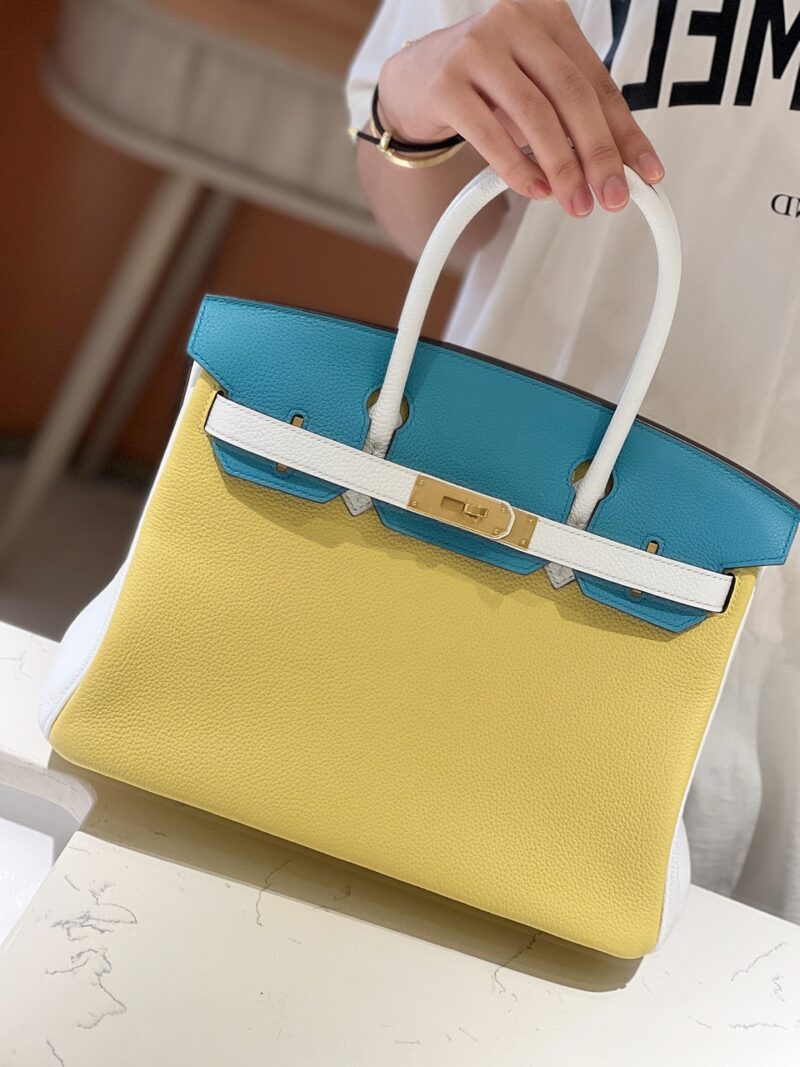Hermès Lime, Bleu de Galice and Gris Perle Chèvre Tri-Color HSS Birkin 25 Brushed Gold Hardware