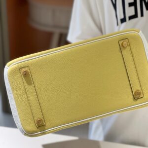 Hermès Lime, Bleu de Galice and Gris Perle Chèvre Tri-Color HSS Birkin 25 Brushed Gold Hardware