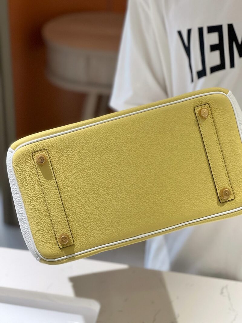 Hermès Lime, Bleu de Galice and Gris Perle Chèvre Tri-Color HSS Birkin 25 Brushed Gold Hardware