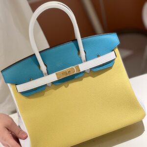Hermès Lime, Bleu de Galice and Gris Perle Chèvre Tri-Color HSS Birkin 25 Brushed Gold Hardware
