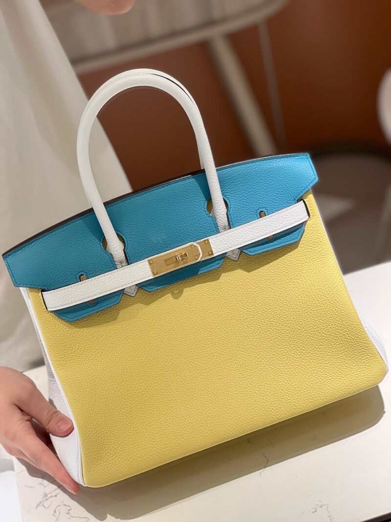 Hermès Lime, Bleu de Galice and Gris Perle Chèvre Tri-Color HSS Birkin 25 Brushed Gold Hardware