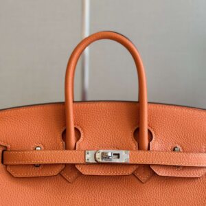 Hermes Birkin 25 Orange Togo Leather Palladium Hardware
