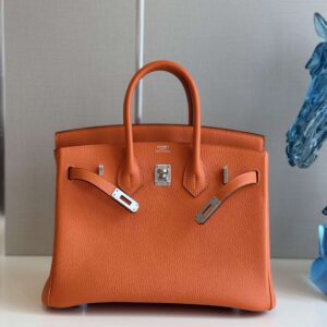 Hermes Birkin 25 Orange Togo Leather Palladium Hardware