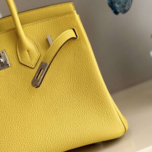 Hermes Birkin PHW Da Togo Yellow Replica 11 Handbags 25cm