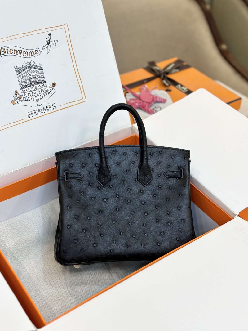 Hermes Birkin 25 Black Ostrich Leather Gold Hardware