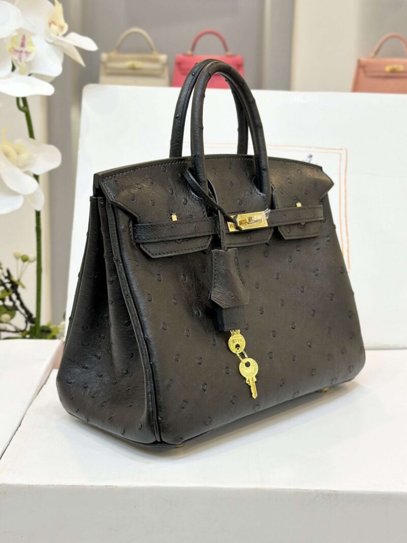 Hermes Birkin 25 Black Ostrich Leather Gold Hardware