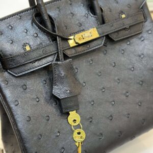 Hermes Birkin 25 Black Ostrich Leather Gold Hardware