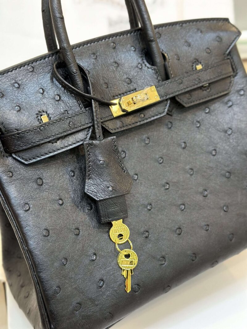 Hermes Birkin 25 Black Ostrich Leather Gold Hardware