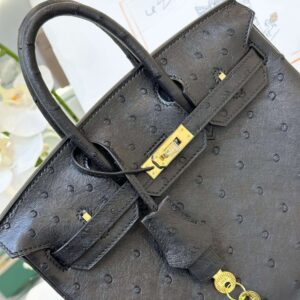 Hermes Birkin 25 Black Ostrich Leather Gold Hardware
