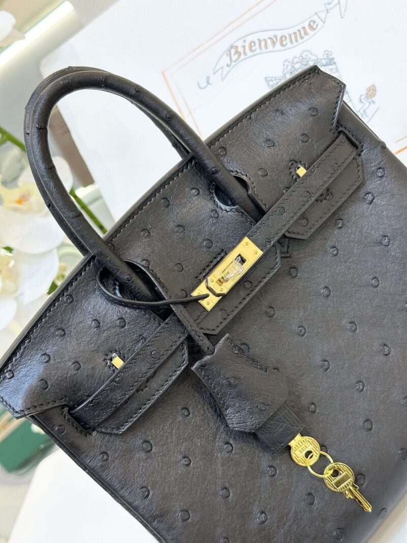 Hermes Birkin 25 Black Ostrich Leather Gold Hardware