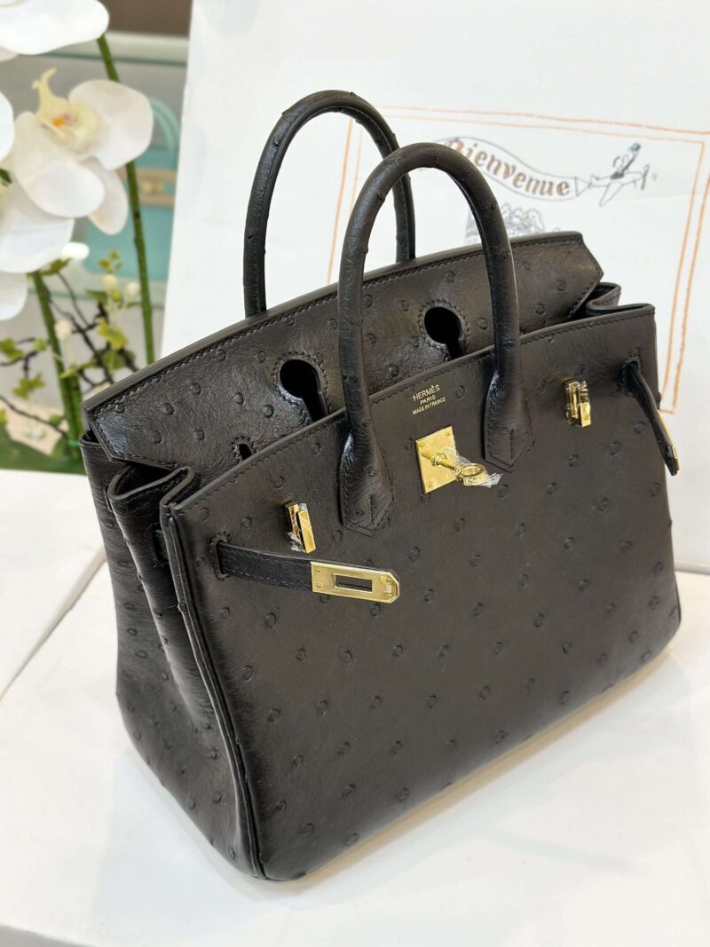 Hermes Birkin 25 Black Ostrich Leather Gold Hardware