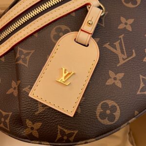 Louis Vuitton LV Bumbag Monogram Handbags 38x16x8cm