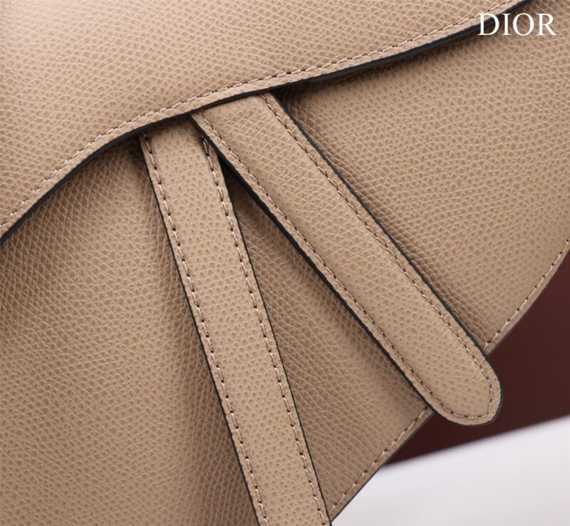 Dior Saddle Saddle Women’s Handbag 25x20x6.5cm